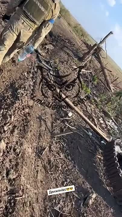 ������� ���������� ������ ������ ��� ��������