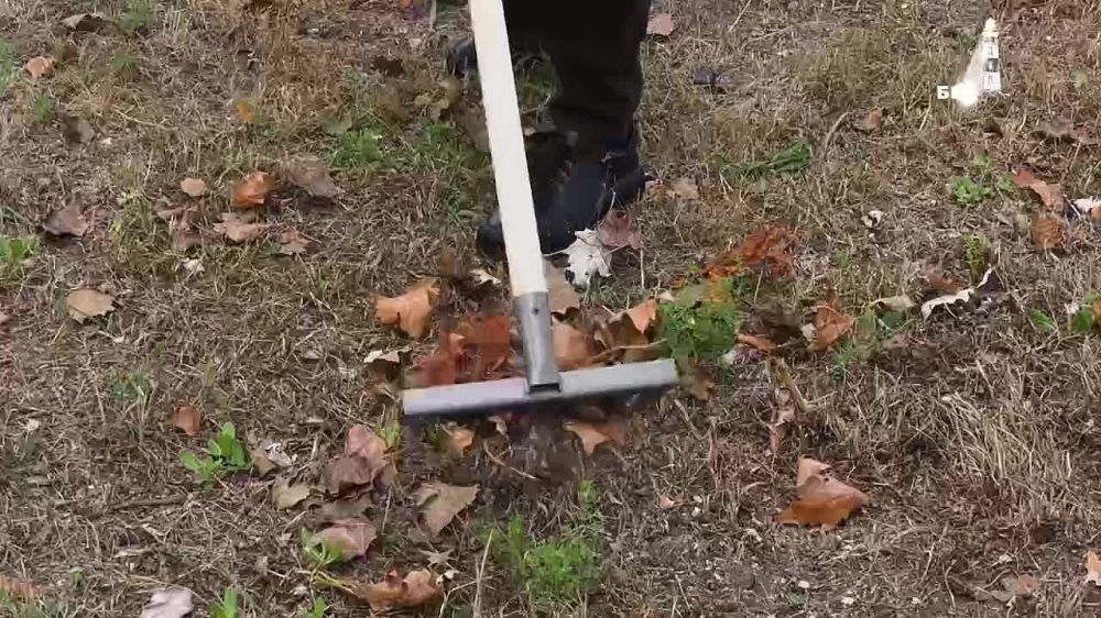 �������� ����������� ���������������� ����� � ����� �4 �� ��� ������ ������� ����������