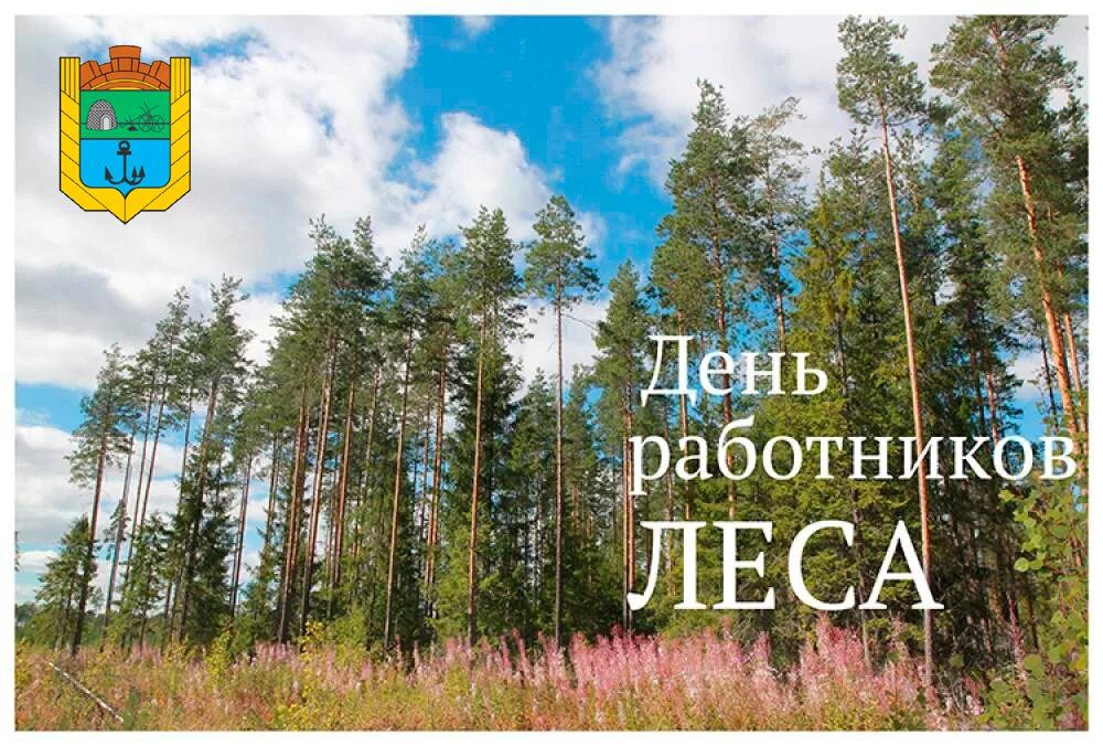 �������, 17 ��������, �� �������� ���� ��������� ���� - ��������, ����������� ����, ��� ���������� �����������, ������� � ����������� ������ ������� ���������