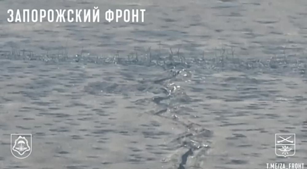 ����� ������������ �������� �� ���������� �������� �������