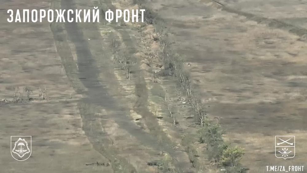 ��������� ������� ������� ���������� ������������ �� ����������� �����������
