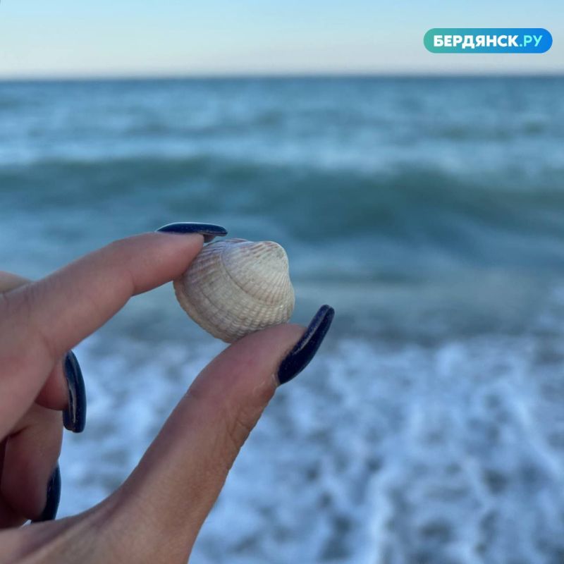 � ������ �����, ��������!. ����� ��� ����� ��������� ��������� �����������, � ���� �������� ����� ������� �������! ���������� ���� ���������� � ��� ���-��� � @brdnsk_bot
