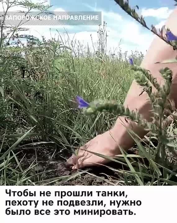 �������, ������������� � �������� �� ������ ������