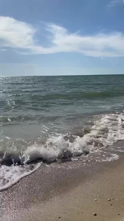 ���������� ������� ����. ������ �������� ��� ���