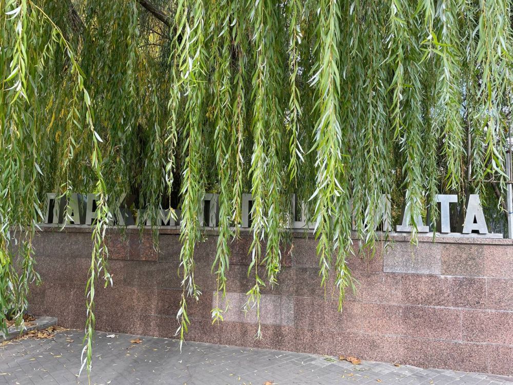 ��������� ���������: ���������� ����������, ����� �� ���������������� ��� ��� �������!