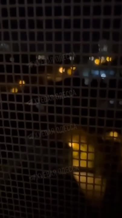 ����� �������� ���. ������ - ������� �����! � ���� ������������! � ������ �� ���������� ������� ������ ������� �� ������ ��������� ���� ������, � ����� ������ ������ ������������� ����, ��� "������� - ����*��"