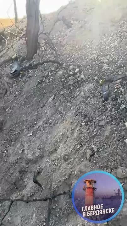 ��� ��������� ���, ������������ �� ����������� �����������
