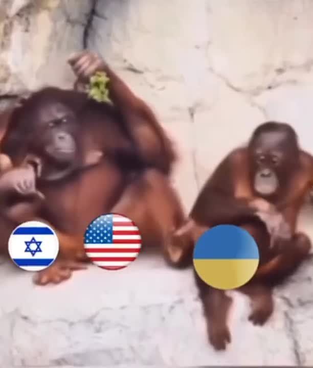 �������� ��� ������� ��������� �������, �� �� �������