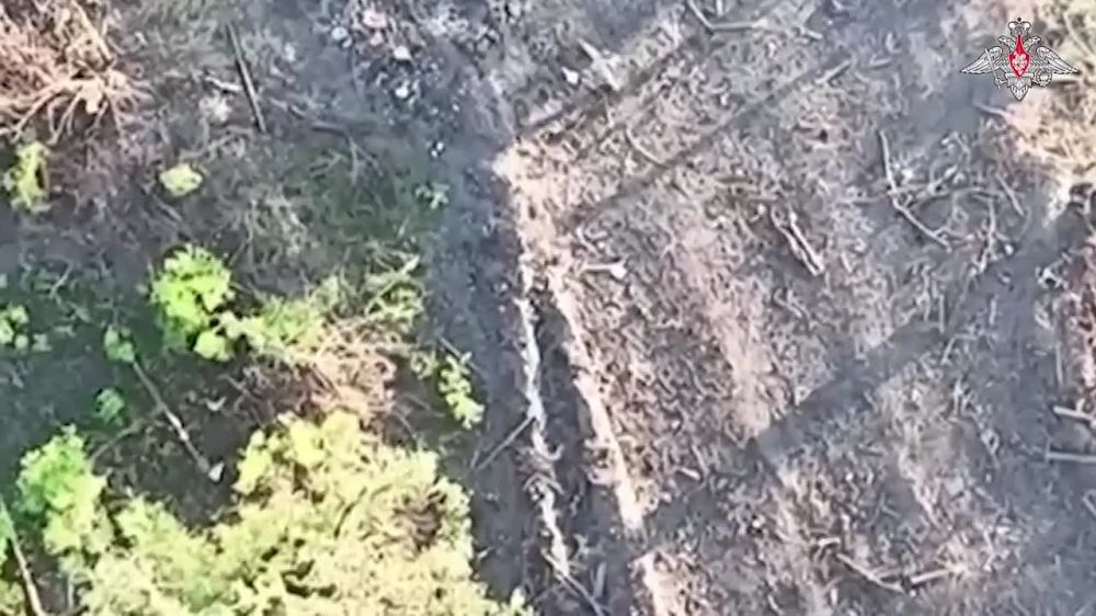 ����������� ����� ���� ��� ���� ��������