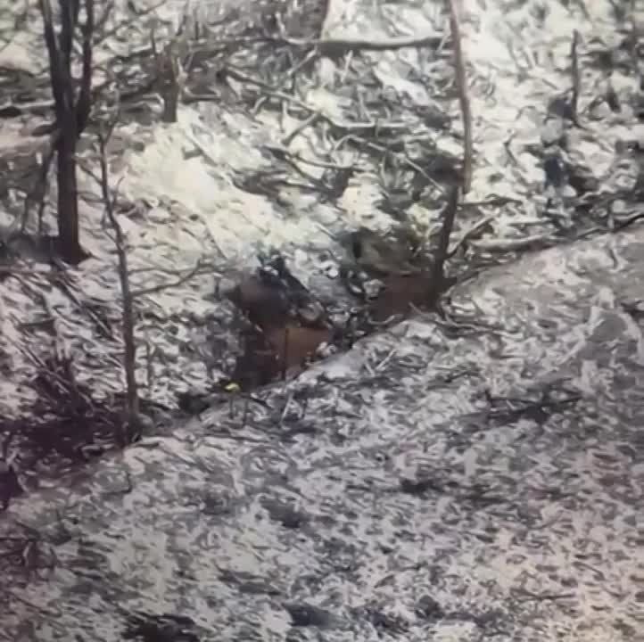 ���� ����� �� ��������. ��������� FPV-���� ������� � ���������� �������, �� �� ��������, �� ��� ��� �������� �� ����� � ����� ������� �������������� ��