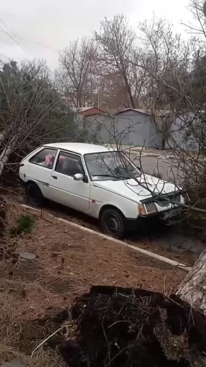 ���� �� ������ ������� ��������� �����, ����� ���������� ��� ��� �����
