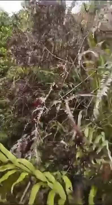 ��������� �������� ������ �������� � ������ ����� �����