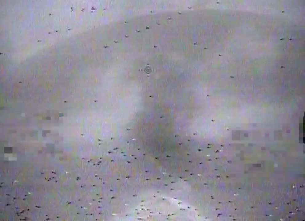 ��������� �������� � ���� ������