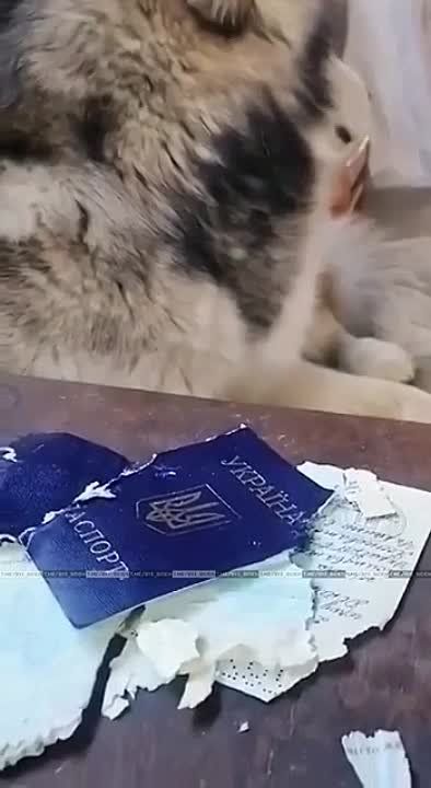 ��� �������? �� �������!�