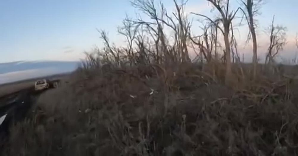 ������ ��������� FPV ����� �� ���������� � �����������