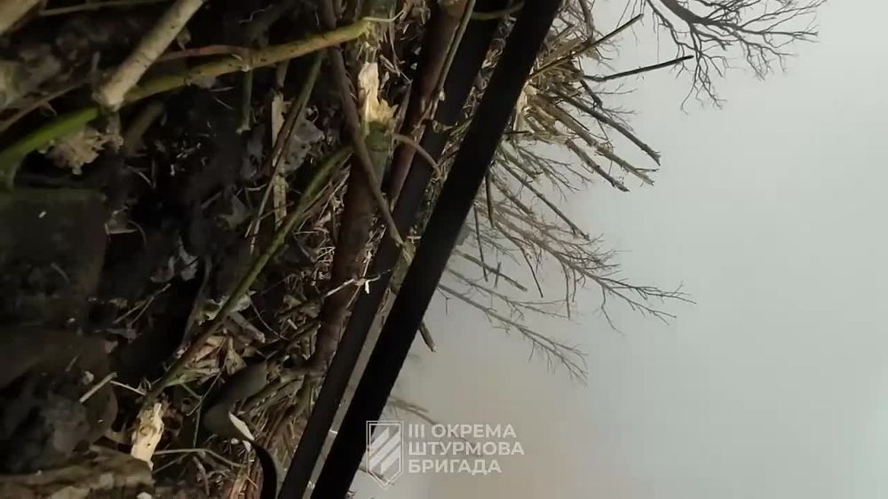 ��������� ����� � ������ ��������� ������� ���. �������������