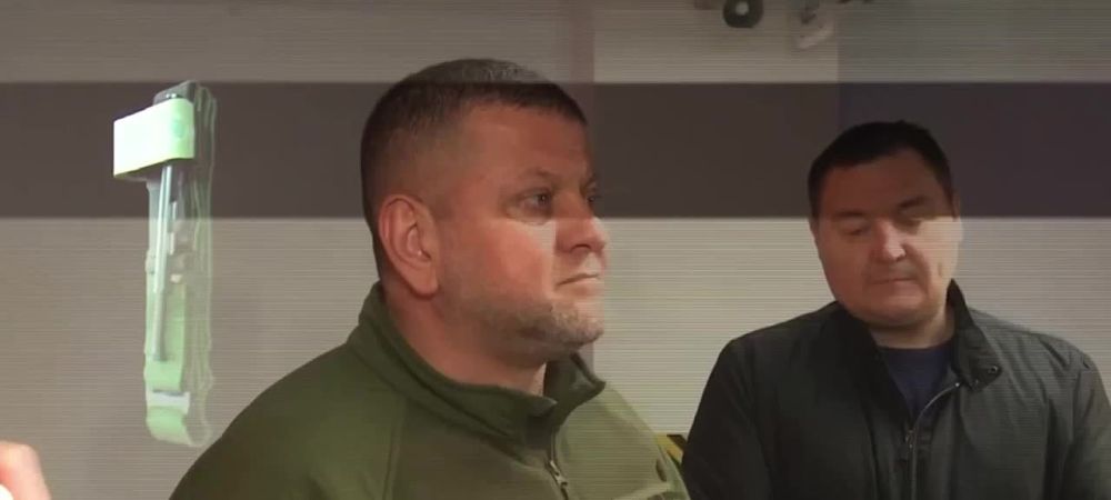 ���� ������: ����������������� ��� ������� �������� ��������� �������� �� ������ � ���, �������� �� ���������� ���������������� � 2024 ����