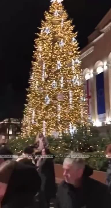 �� ���� ����� �������� ���. �������