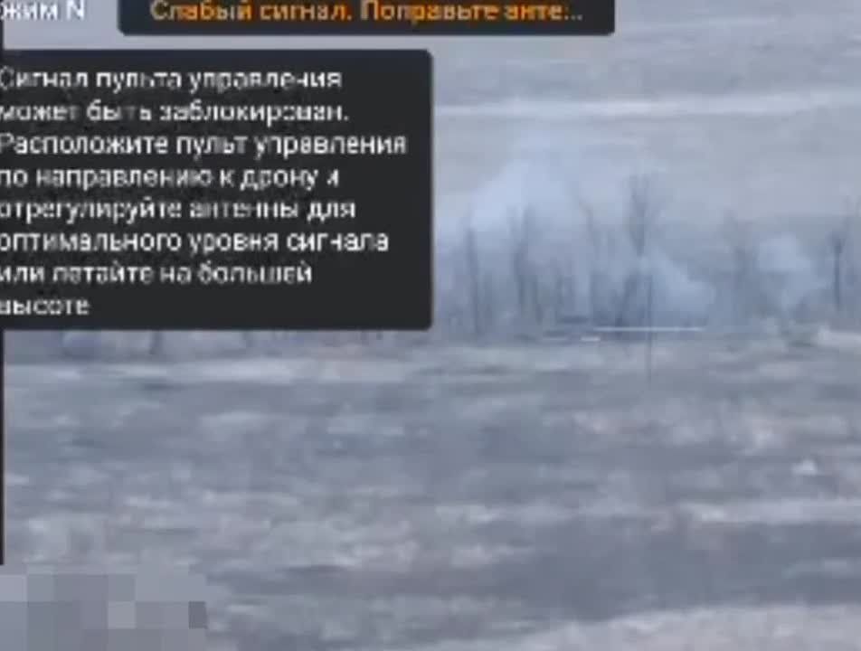 ����������� �����, ���������� �����������