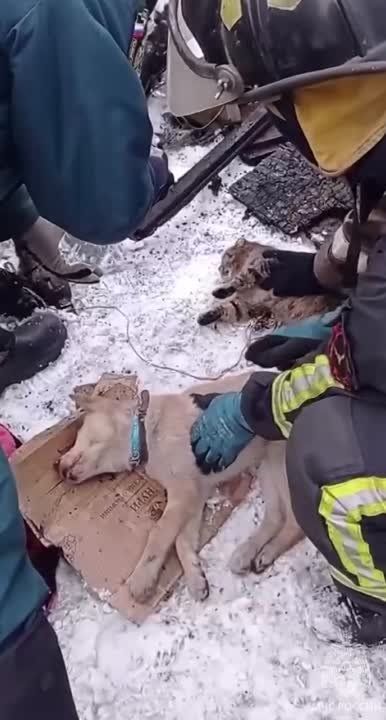 � ����������� ������� �������� ������ ������ � ���� �� ������� ��������