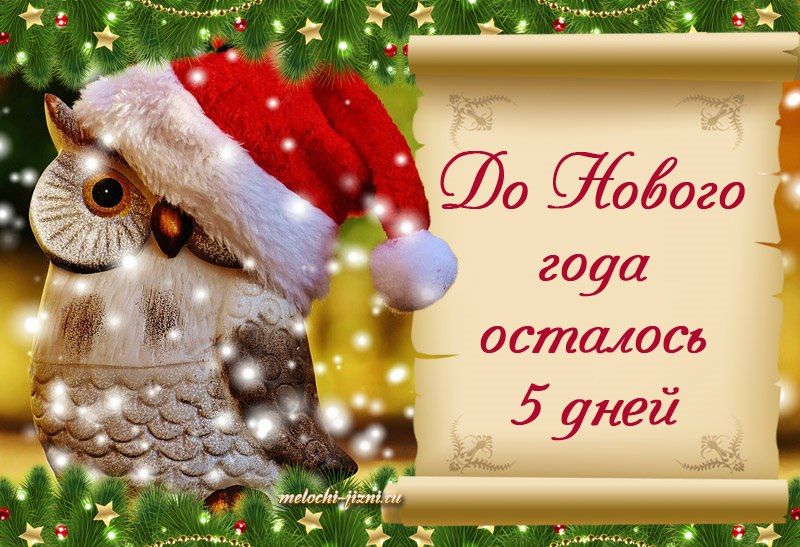 �������������. �������� ZaVtra. �������� ZaVtra ��� �������� ������