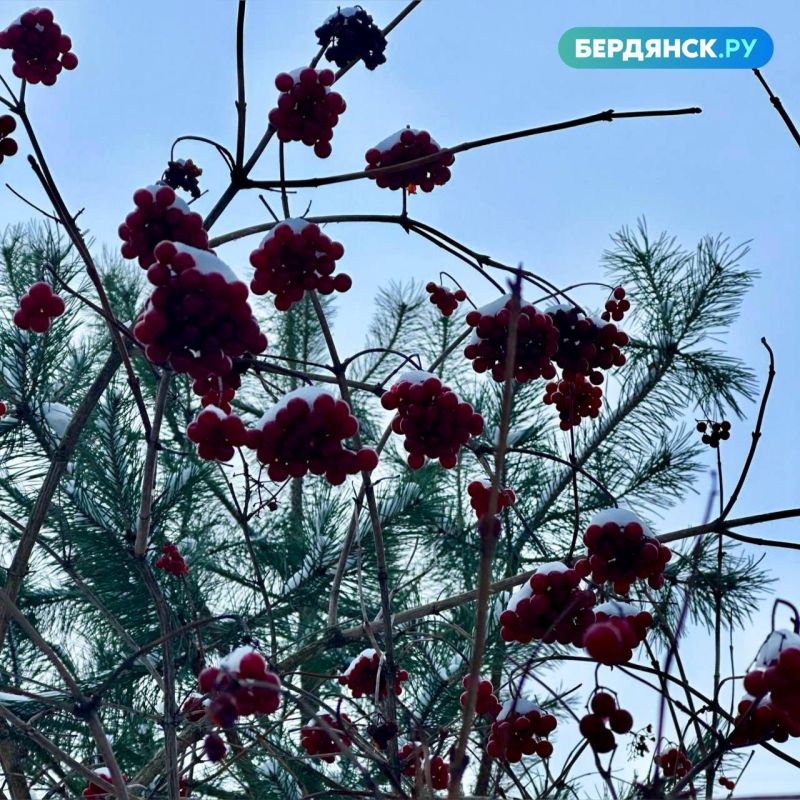 ������ ����, ��������!. ������ ��� ������������ ���������� � ������������� ����� � ����� ����! ���������� ���� ���������� � ��� ���-��� � @brdnsk_bot