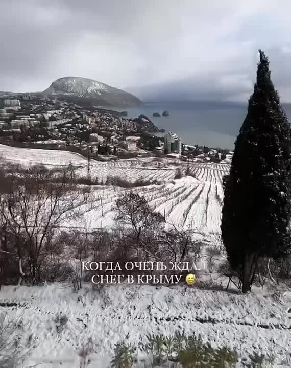 ������ ������ ������ � �����