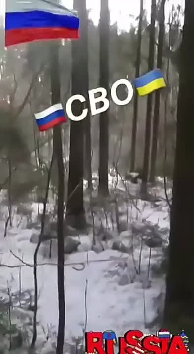������� ��������?). ����� "������" ������ ��������� ����� ������, ���������� � ���������� �������������� � ���� ����� ���� ����� ����� �����������... ���� �����.