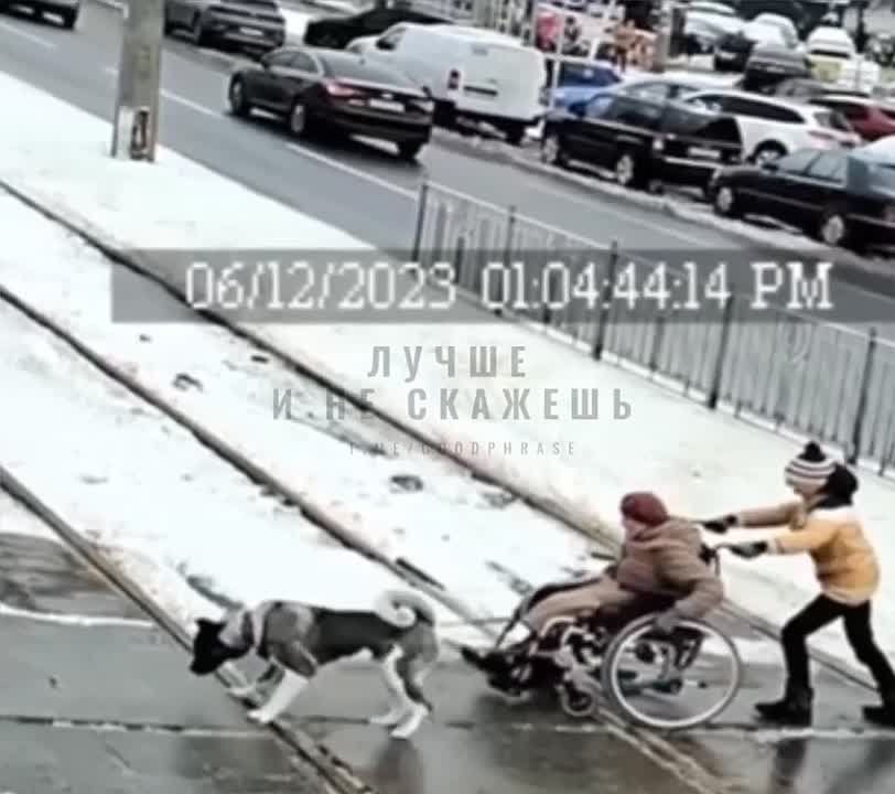 ������� � ������� ������� ���������� �� ������� �������-�������� � �������������