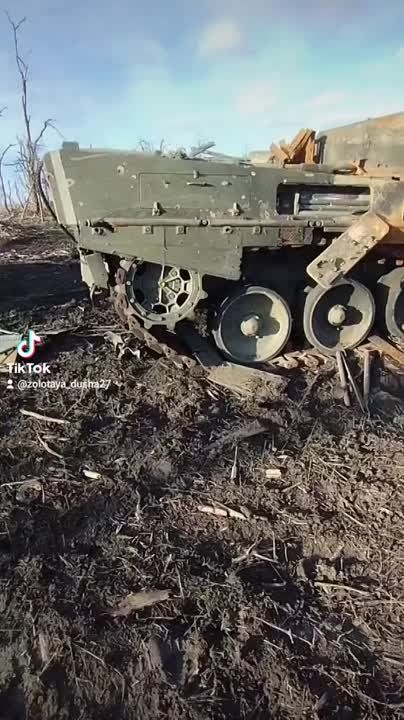 ��� ������������ � ������ �������� ���������� ����� Leopard 2A4 � �������������� ������� ������������ ������ ��������-1�