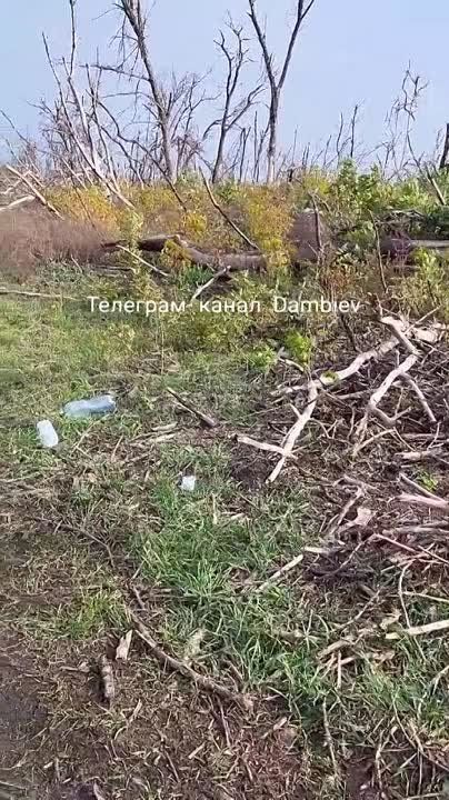��� ������������ �� ����������� ����������� ���������� ��� YPR-765, ������� ���� ��������� � �������� ������� ������ ������������
