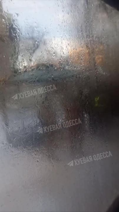 ������. �����������. ��������� � �������� �������� ����������� ��������