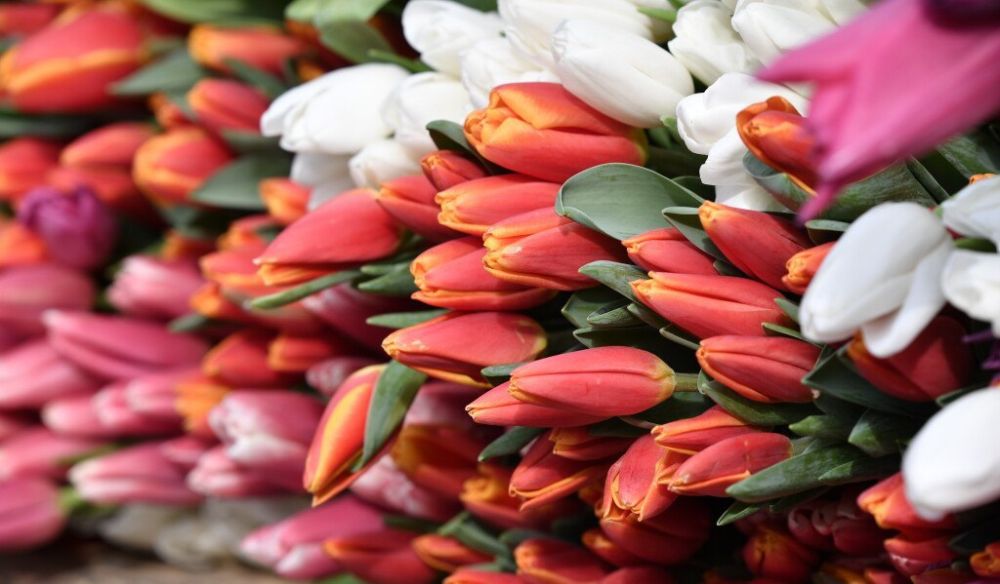 �������� �� ��������� ��� ����������� ��������� � 8 ����� - �������� ������ �� ������ �� �����, � ����������� �� ������ 2022 ����, ������� ����-������� �������� ����������