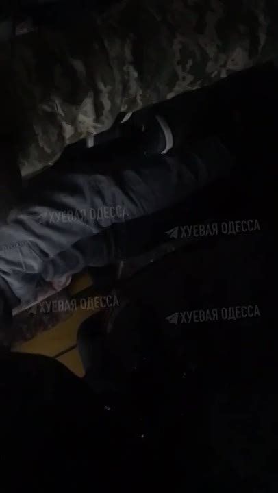 ������. ��������� ��������� ����������