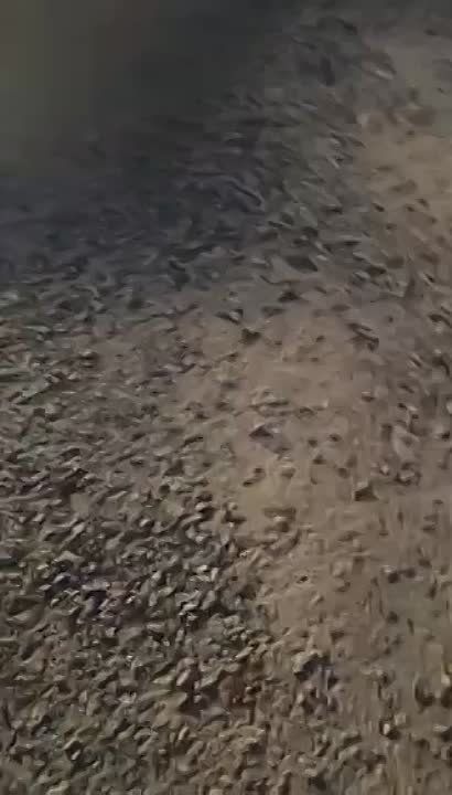 �� ������� ���� �������������� ������� �� �������� � ���������� ����������� ���