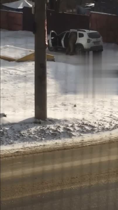 ��� ��� ����. ��������� ������������ �������������