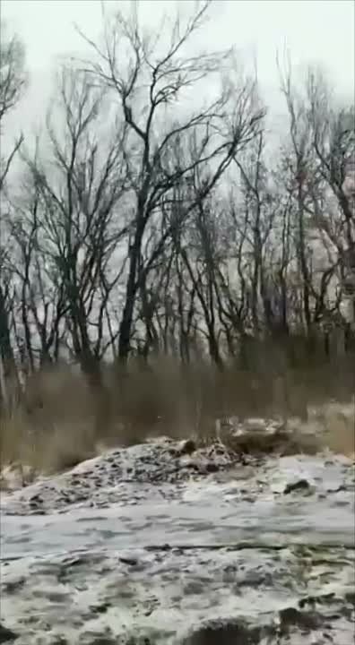 ���������� �������, ������������ ���� � ���, �� ��������� ����������� ���� ����� �� ������ � ������ �� ���