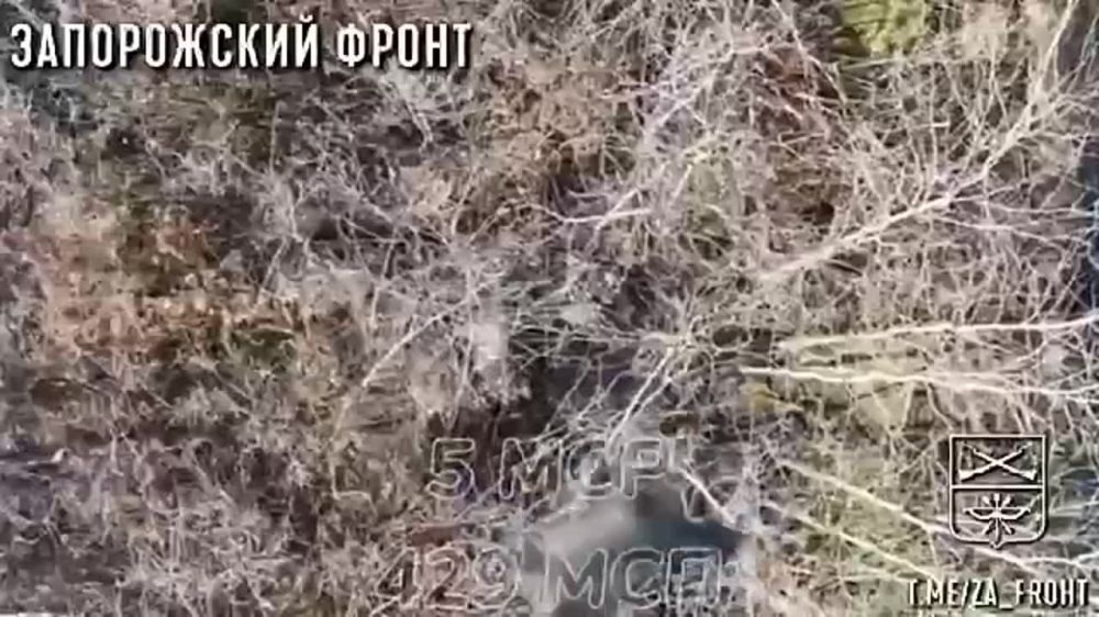 ��������� ������ 429 ����� ���������� ������������ ������� ��� � ������ �.�. ��������� �� ����������� �����������