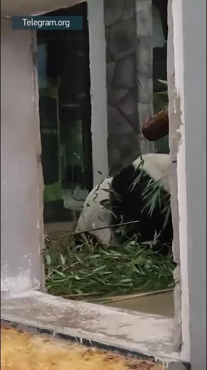 �������� ������ ���� �� ������ ����� � ���� - ������� ���� ������