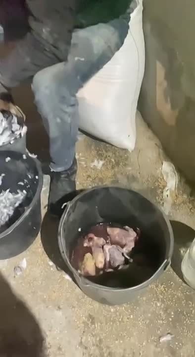 ������ �� ������,���� �����.����� �������!�