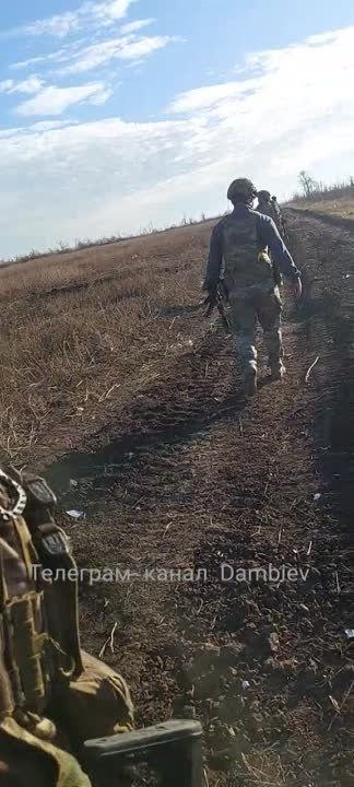 ������������ � ������ �.�. �������� �� ����������� ����������� ���������� ���������������� VAB (44), ���������� �� ������� � �������� ������� ������