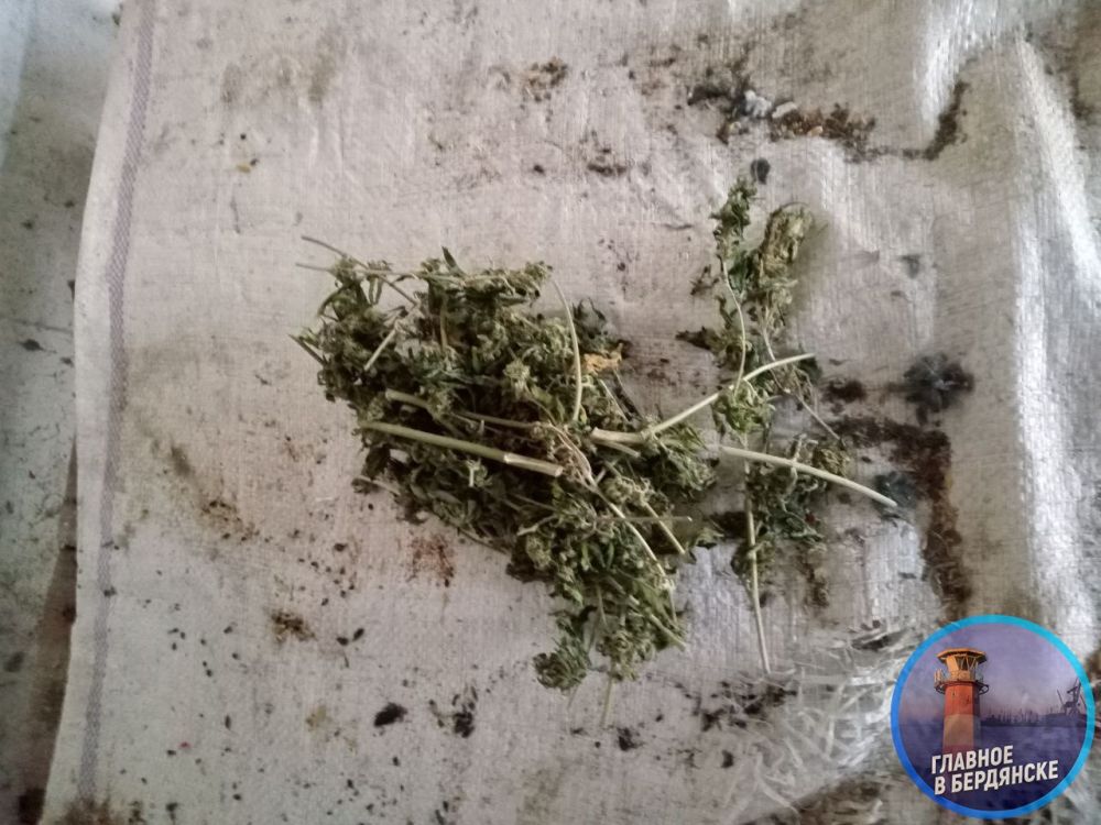 � 46-������� ������ ������������ ����� ��������, ������� �� �������