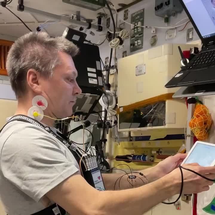 ���������� ����� ������� ������������� ����������� ������� � ������ ������������ "������������" ������� ������������ � ���...