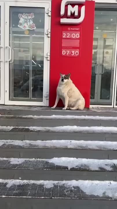 � ������� ���������� � ������������� ������ ���� ��������� ��� �� ������ ������
