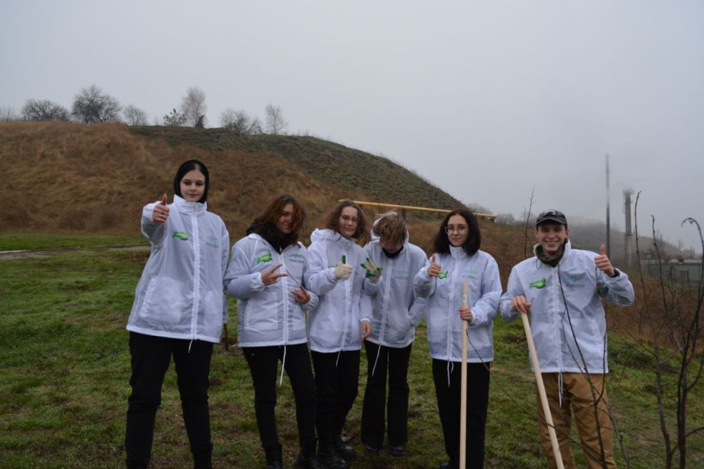 ����������� ������� �������������� � �������������� ������-�������� ����������� �����������