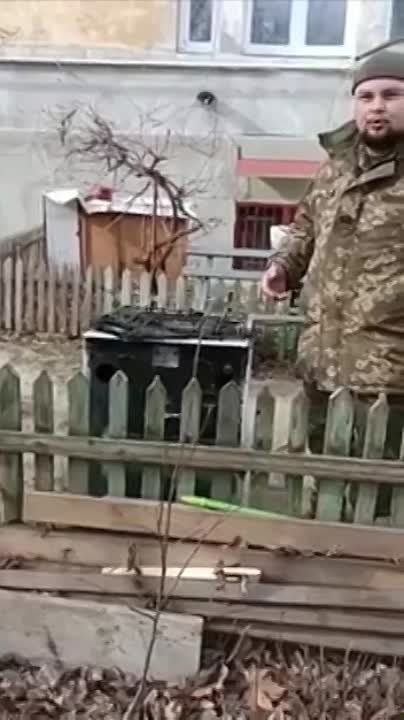 ������ � ���������. �������������