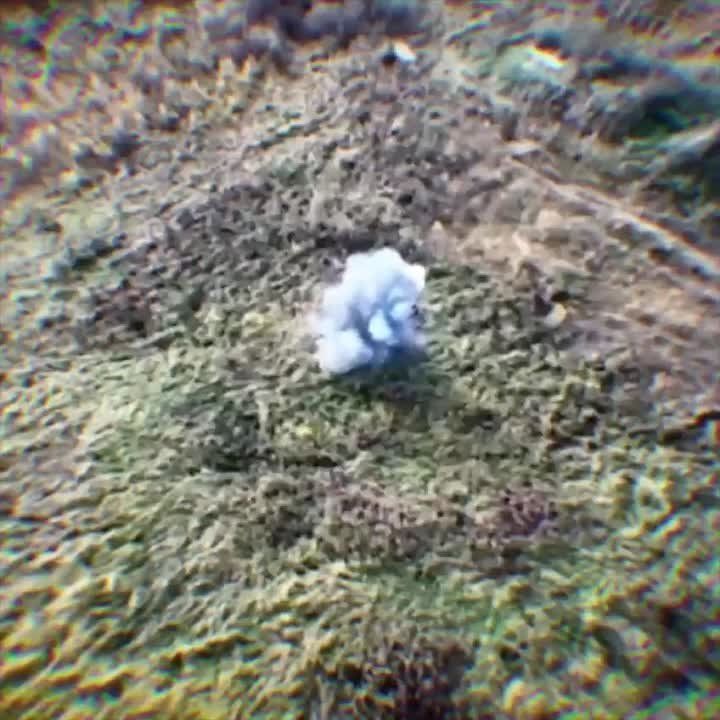 ����� ������ ���������� ��������, ����� ������ ���������� ������ � ��������
