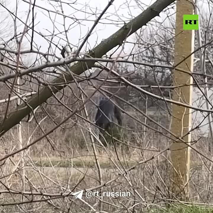 ��� �������������� ������ ���, ����������� ������ � ����������� �������