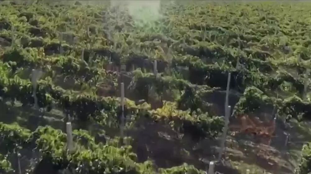 ������ �� ��������� � ����������� ����� �� � ����� ��������� ������!