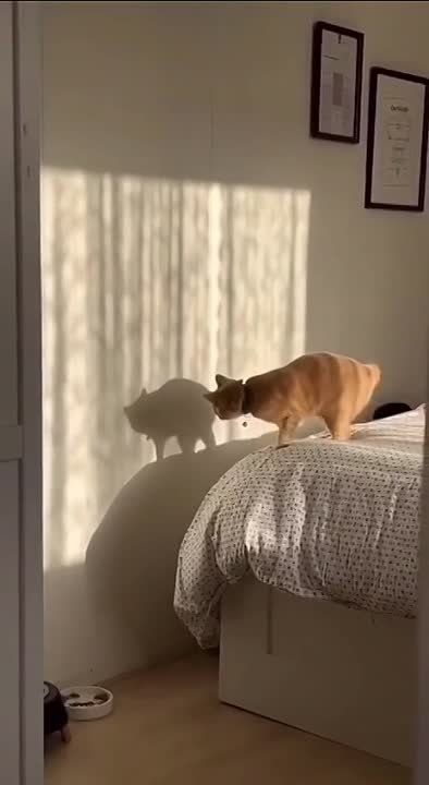 ������ ����, ��������!. ������ ��� ��������� ���, ����� � �������! �������������� ��